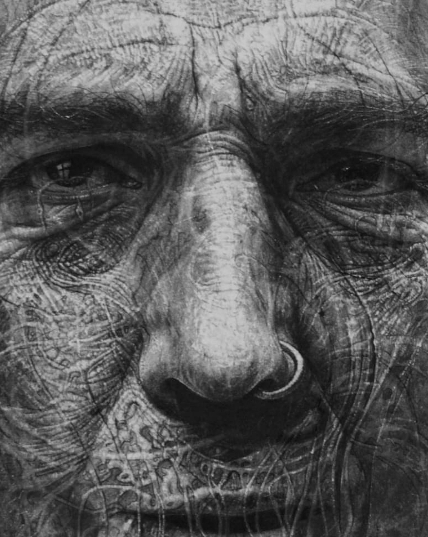 Master charcoal artist Douglas McDougall creates charcoal portraits