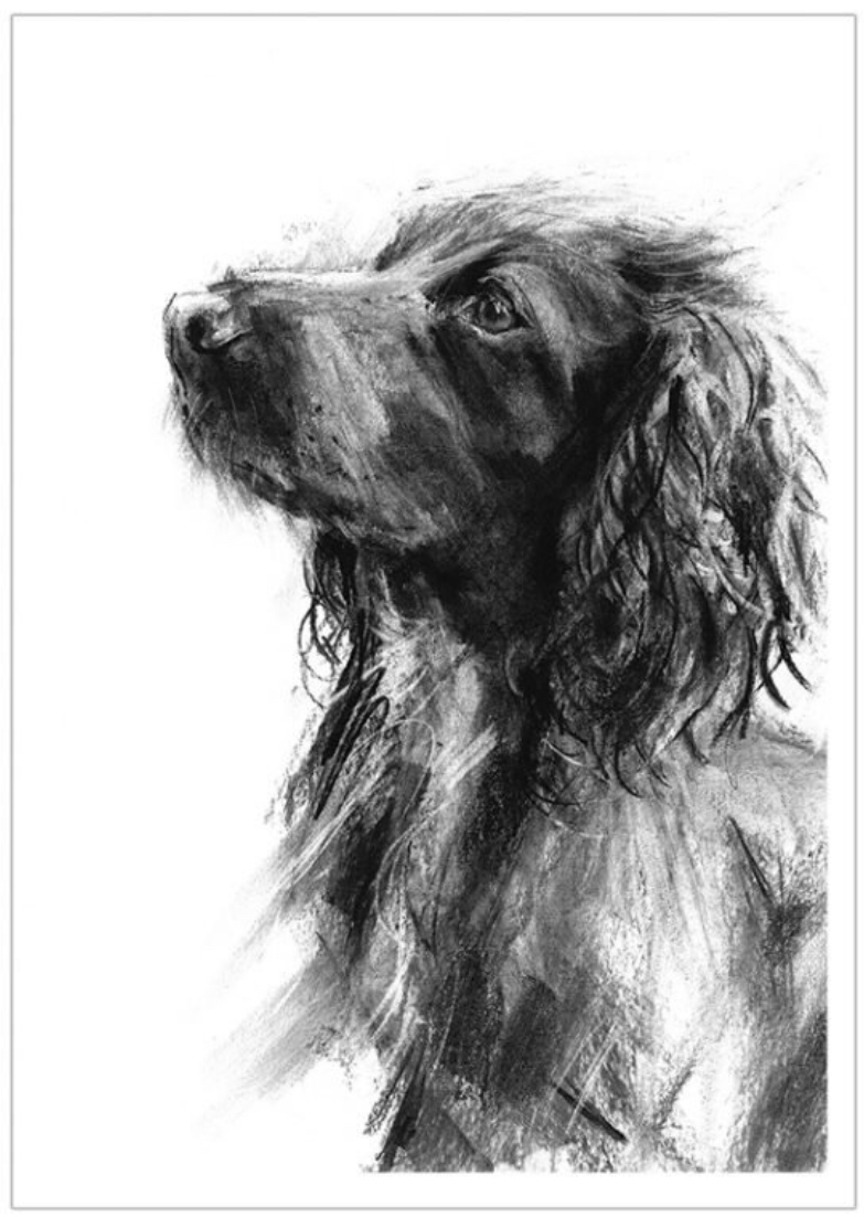 Laura McKendry creates charcoal portraits of dogs